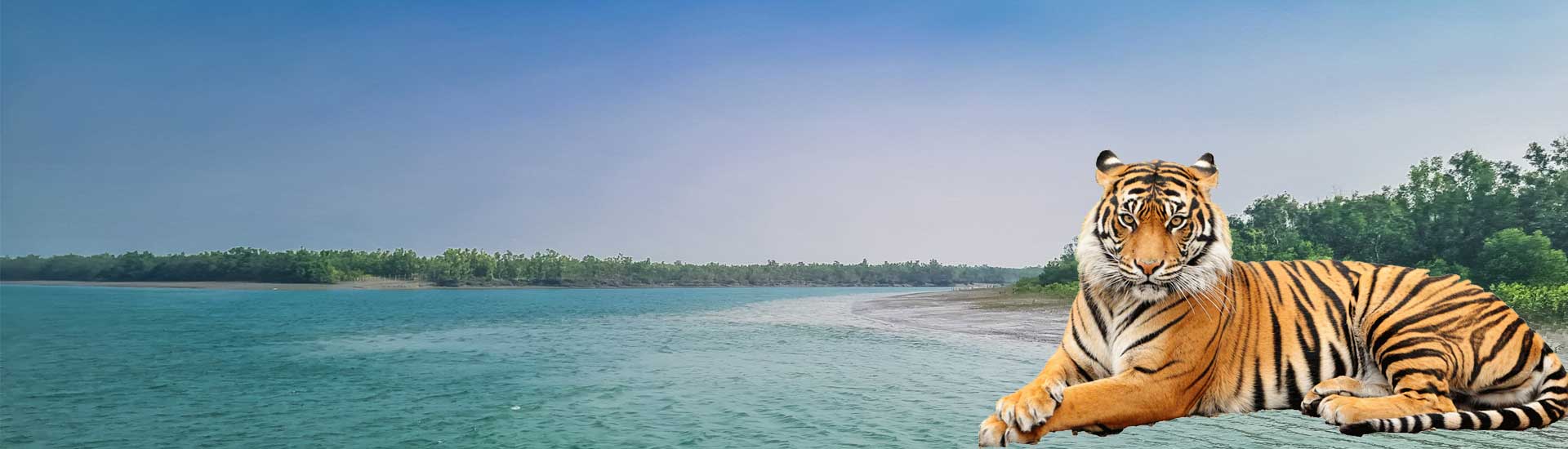 A Detailed Guide to Sundarban Jungle Safari in Sundarban