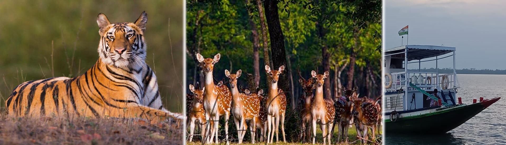 Should We Believe Is Sundarban A Top Line Tourist Place Now?