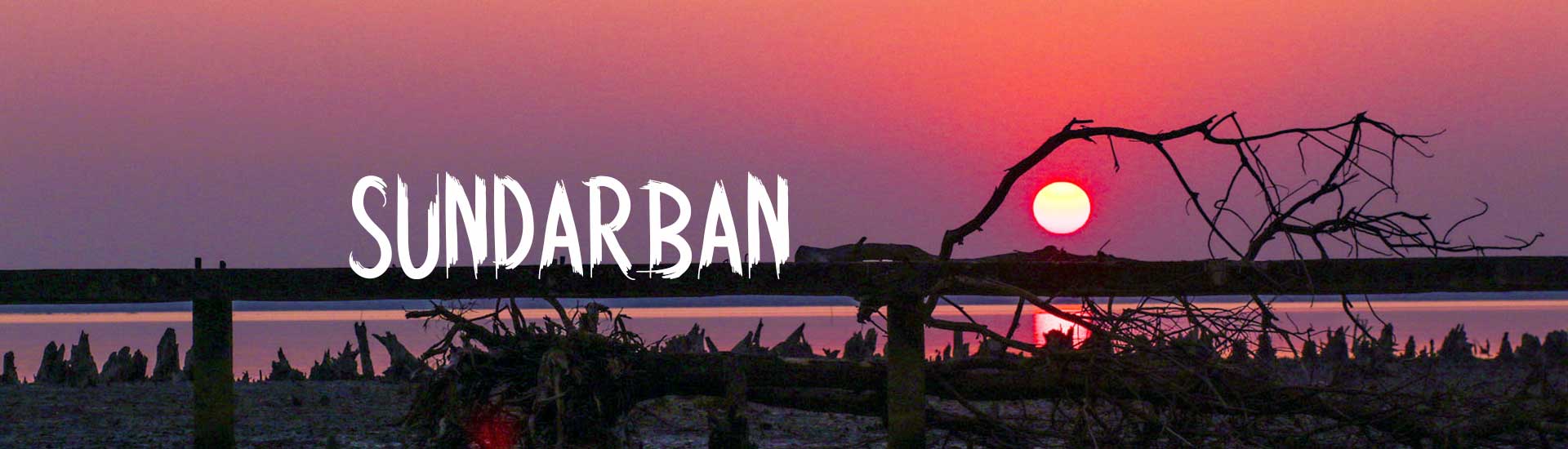 What are the Wrong Ideas People Posses about Sundarban