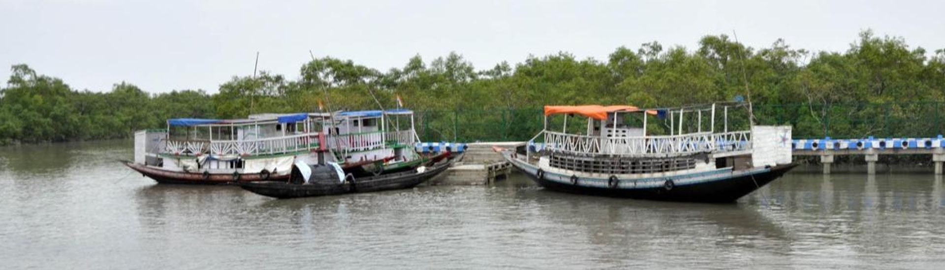 Do You Think The Data Of Sundarban Helps Researchers?
