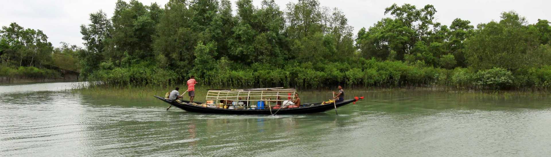 How to go for a Sundarban tour following All the Covid norms?