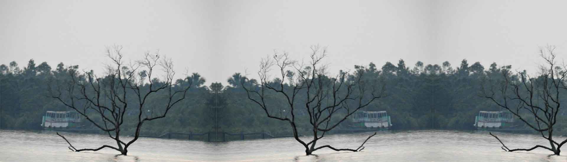 Where Beauty Mixes with Naturalist, It&rsquo;s &ndash;  SUNDARBAN