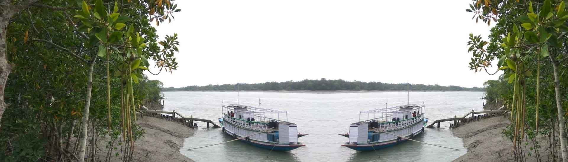 Can we really see Phytoplanktons in Sundarban?
