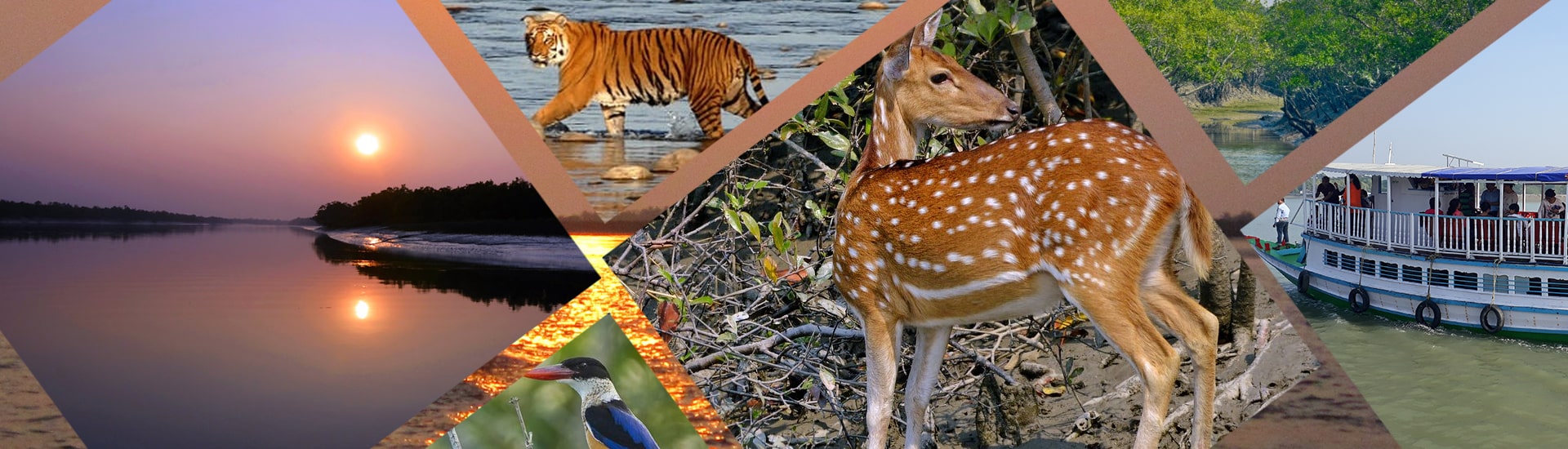 Sundarban Tourism