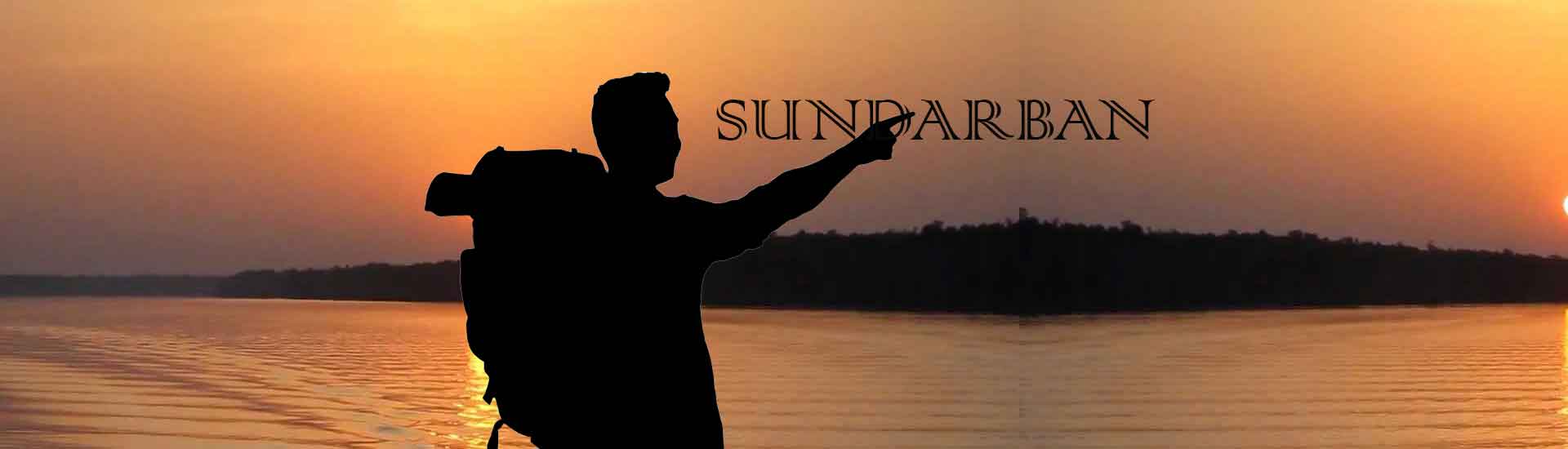 Twist and Turns of Sundarban Exploration