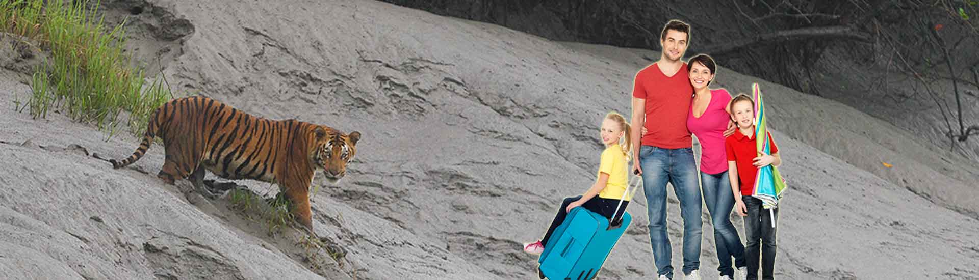 Sundarban Watch Towers: Time to know them better!