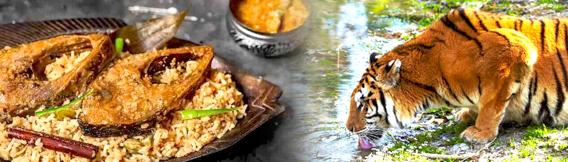 Sundarban Hilsa (Ilish) Festival Utsav Monsoon 2023
